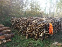 Regulamin sprzedaży drewna